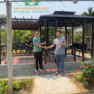 Nhà chòi lắp ghép kết hợp xích đu  tại Lập Thạch - Vĩnh Phúc